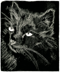 Printmaking: Black Cat